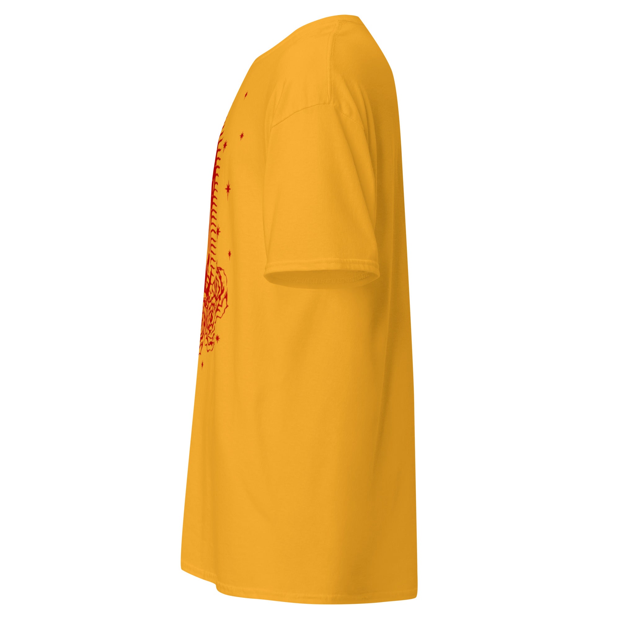 BlackStamp Santa Maria classic tee graphic t-shirt, product image 27