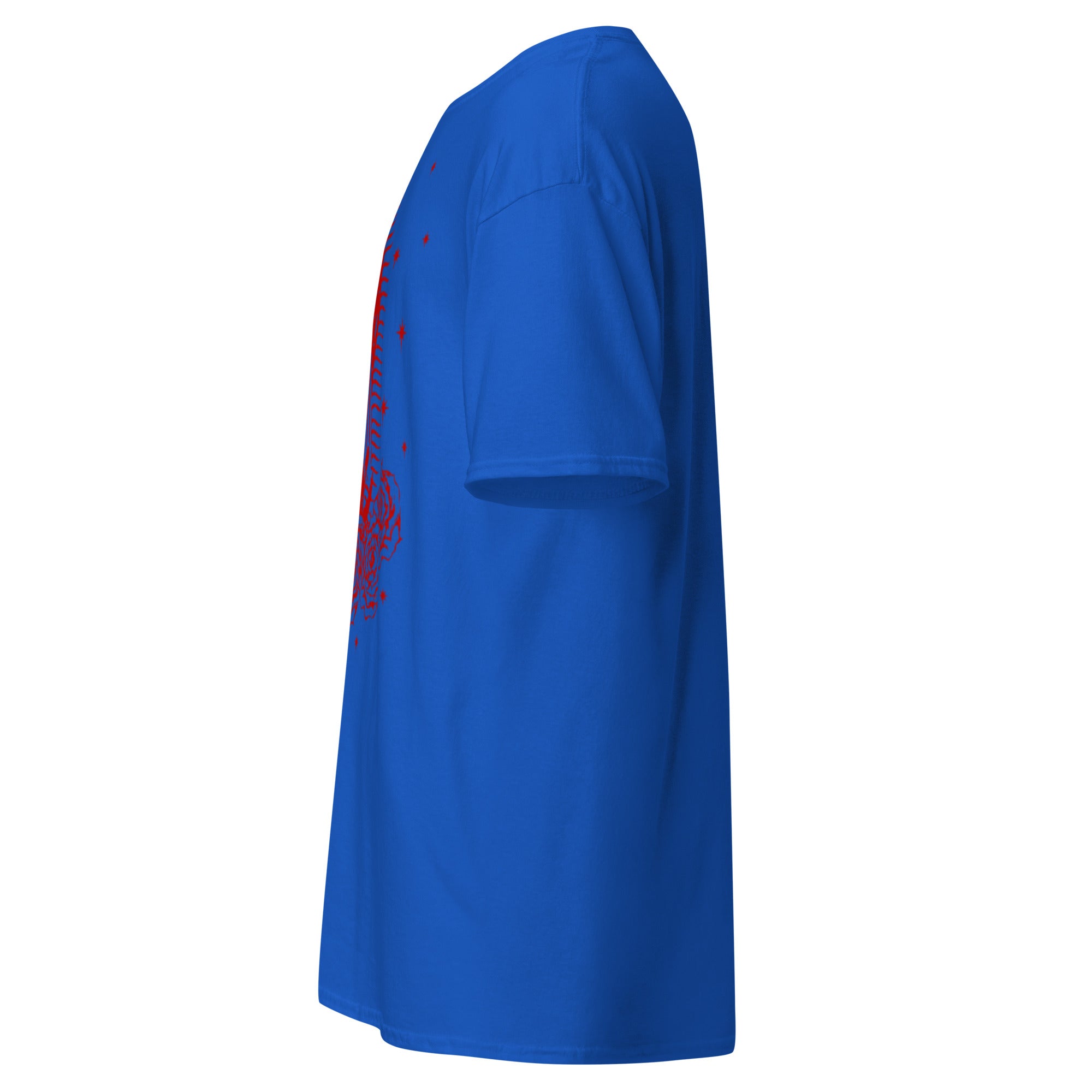 BlackStamp Santa Maria classic tee graphic t-shirt, product image 22