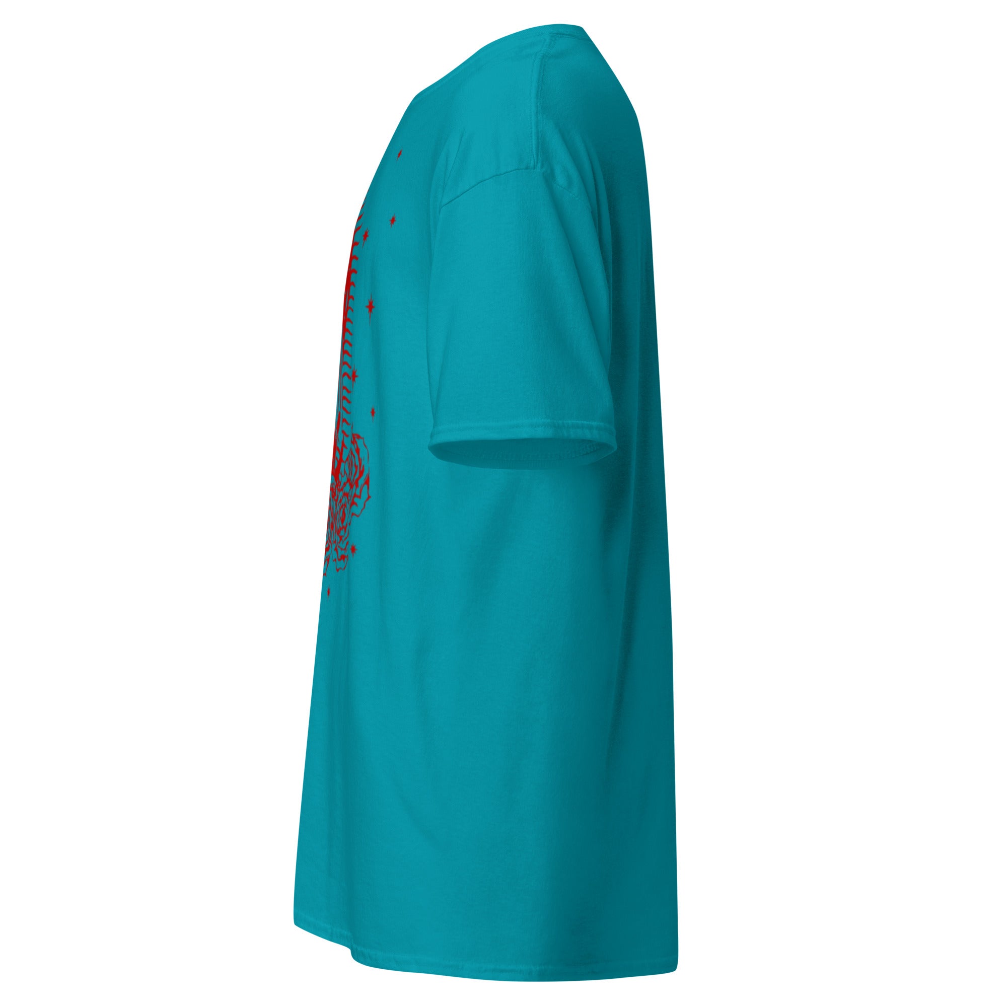 BlackStamp Santa Maria classic tee graphic t-shirt, product image 25