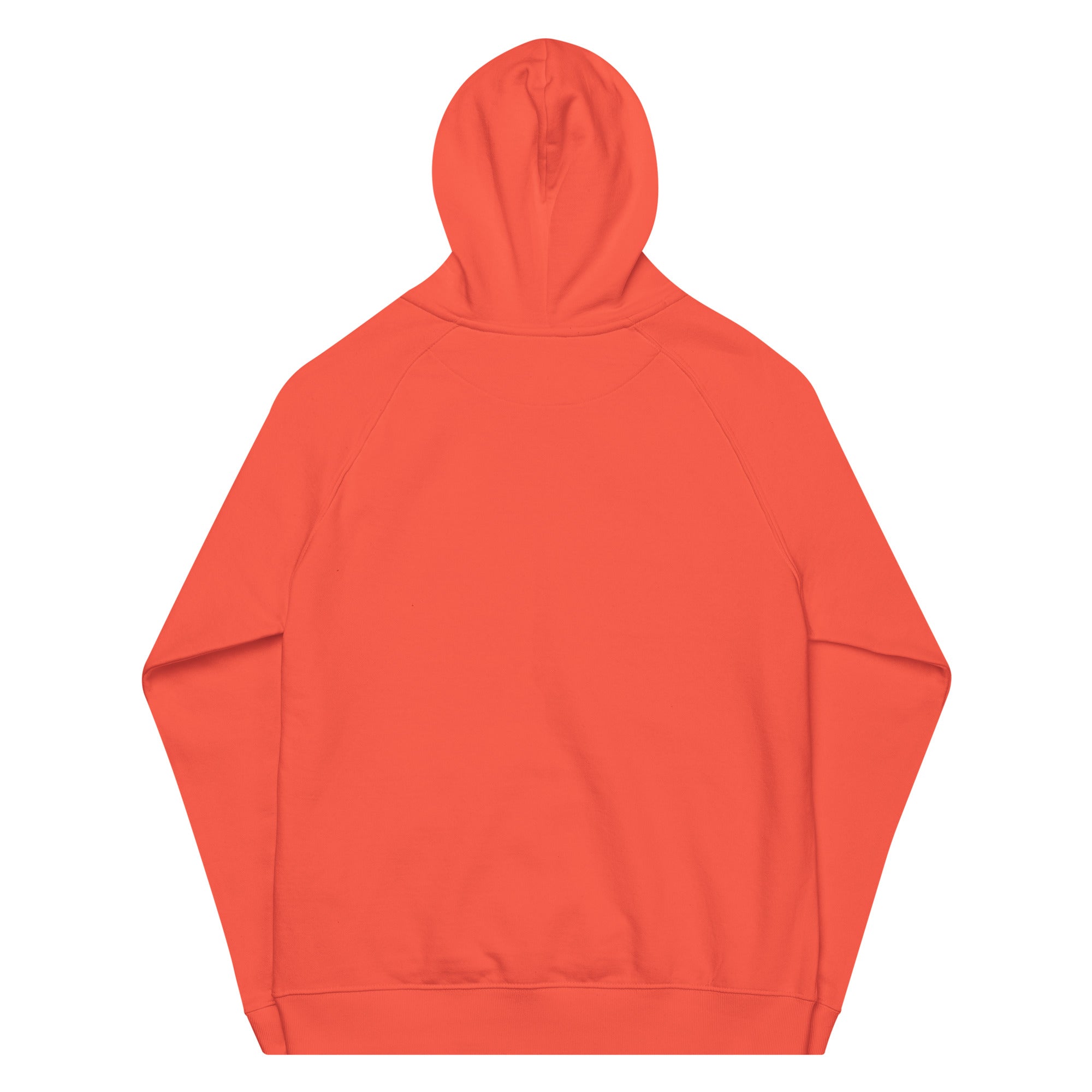 BlackStamp Psychadelic Dream eco raglan hoodie premium hoodie, product image 35