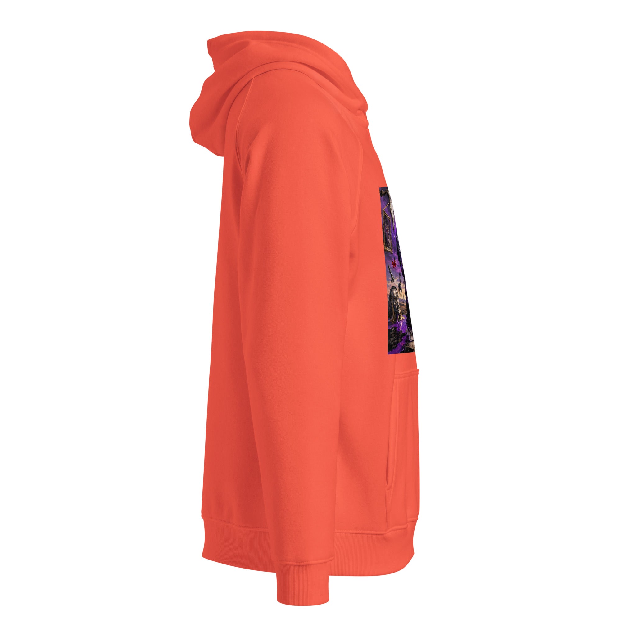 BlackStamp Psychadelic Dream eco raglan hoodie premium hoodie, product image 23