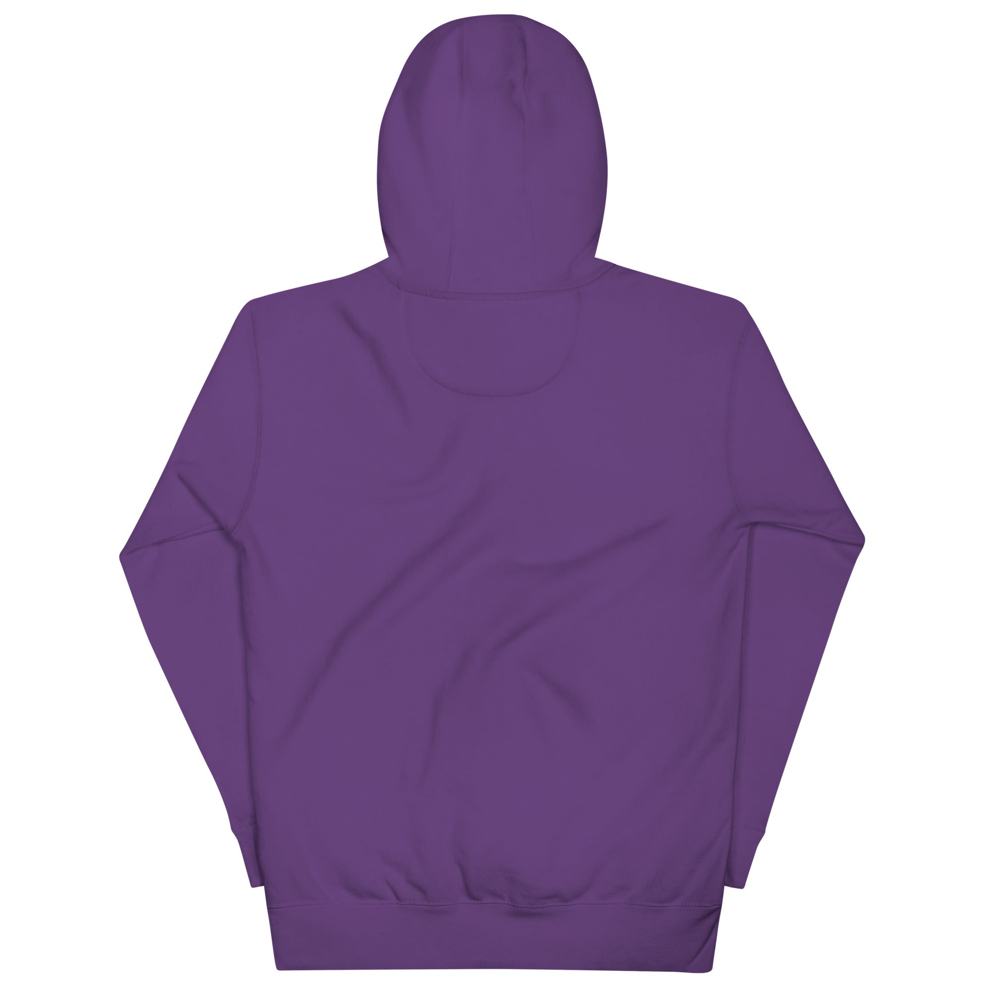 BlackStamp Rastafari Eagle Hoodie premium hoodie, product image 16