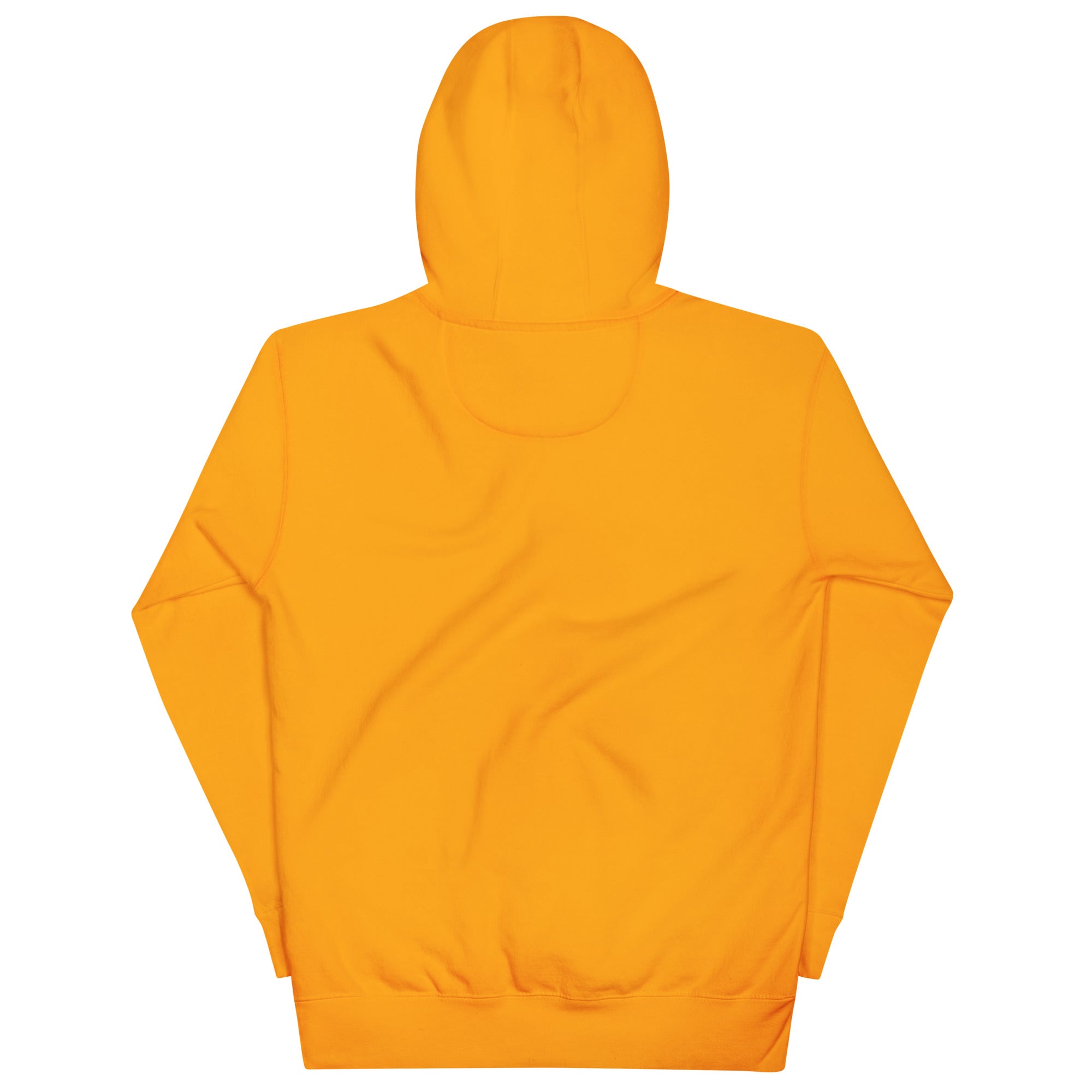 BlackStamp Rastafari Eagle Hoodie premium hoodie, product image 20